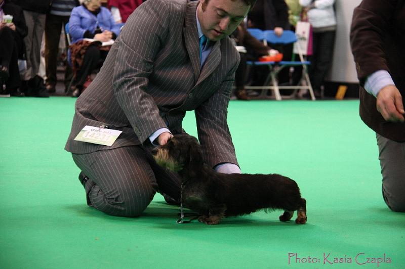 Crufts2011_2 1117.jpg